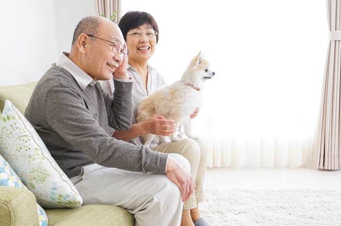 訪問日